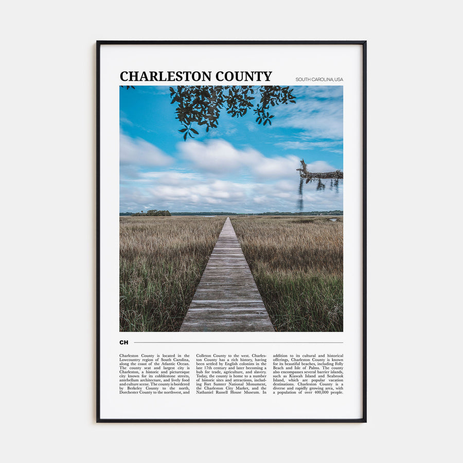 Charleston County Travel Color Poster