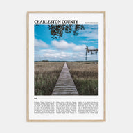 Charleston County Travel Color Poster
