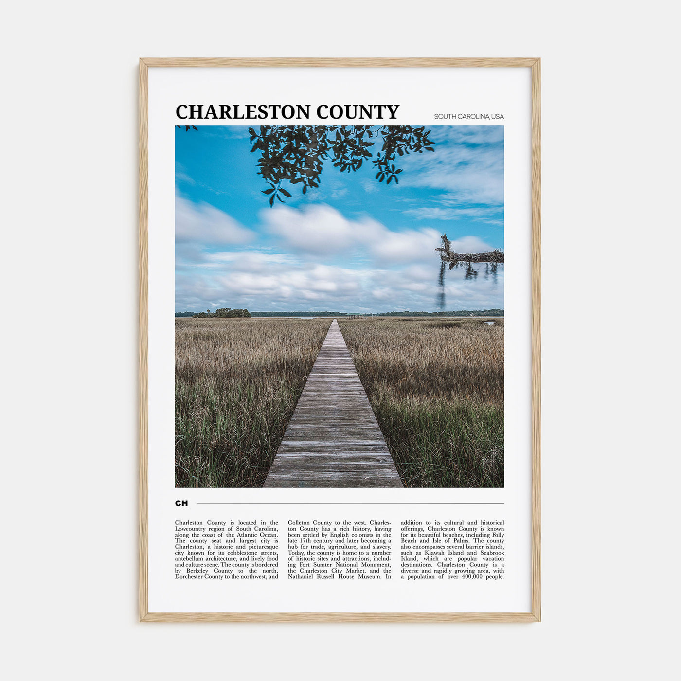 Charleston County Travel Color Poster