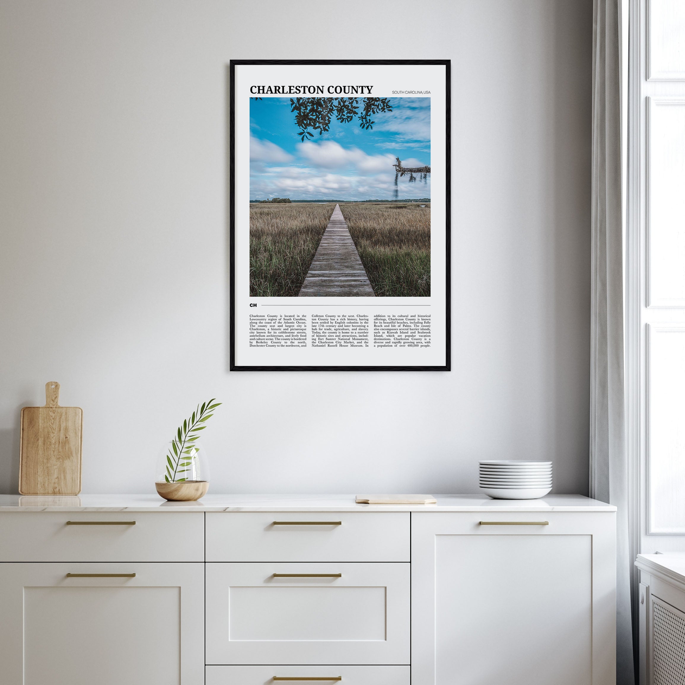Charleston County Travel Color Poster