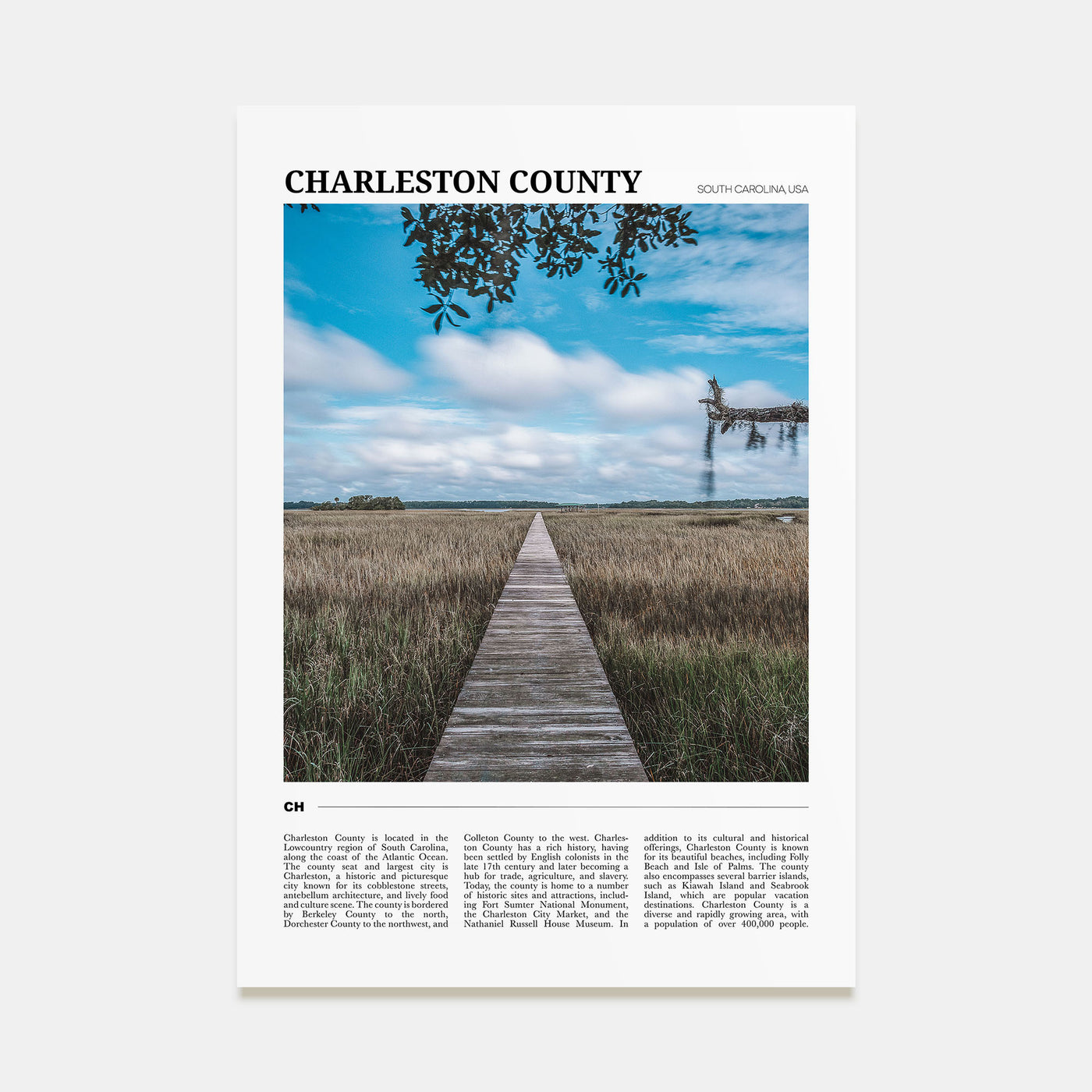 Charleston County Travel Color Poster