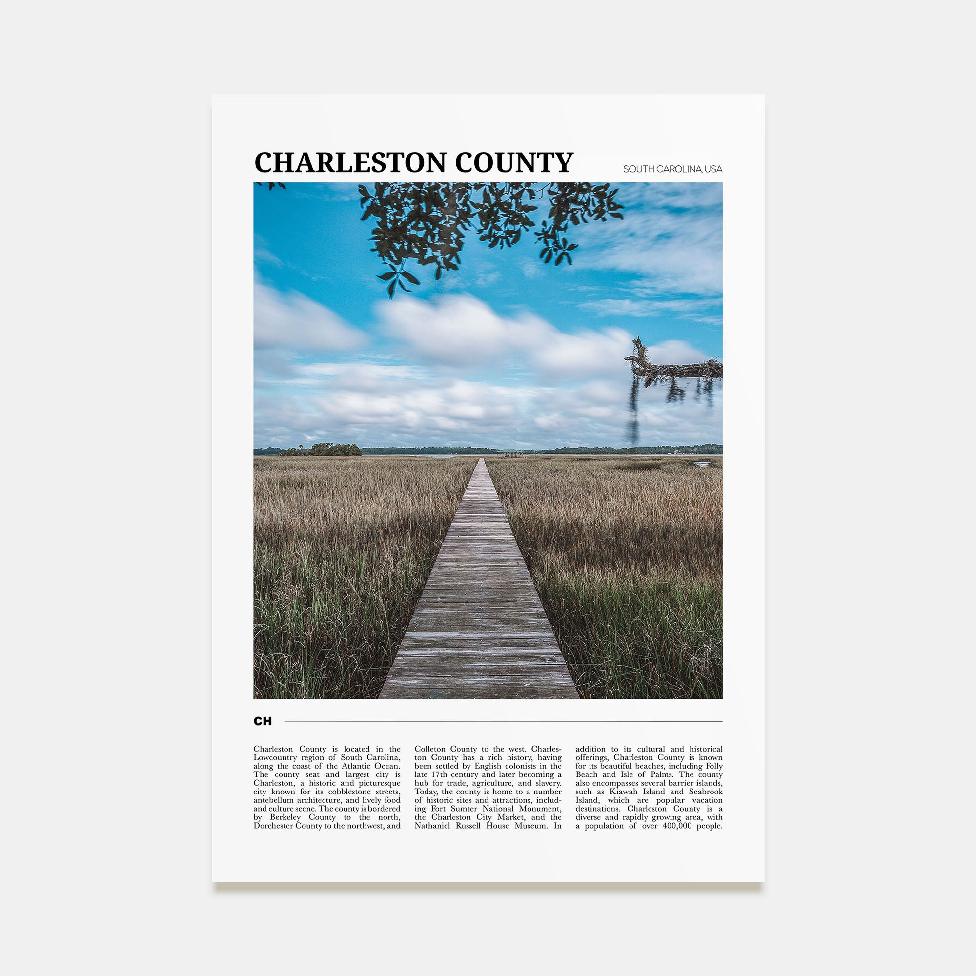 Charleston County Travel Color Poster