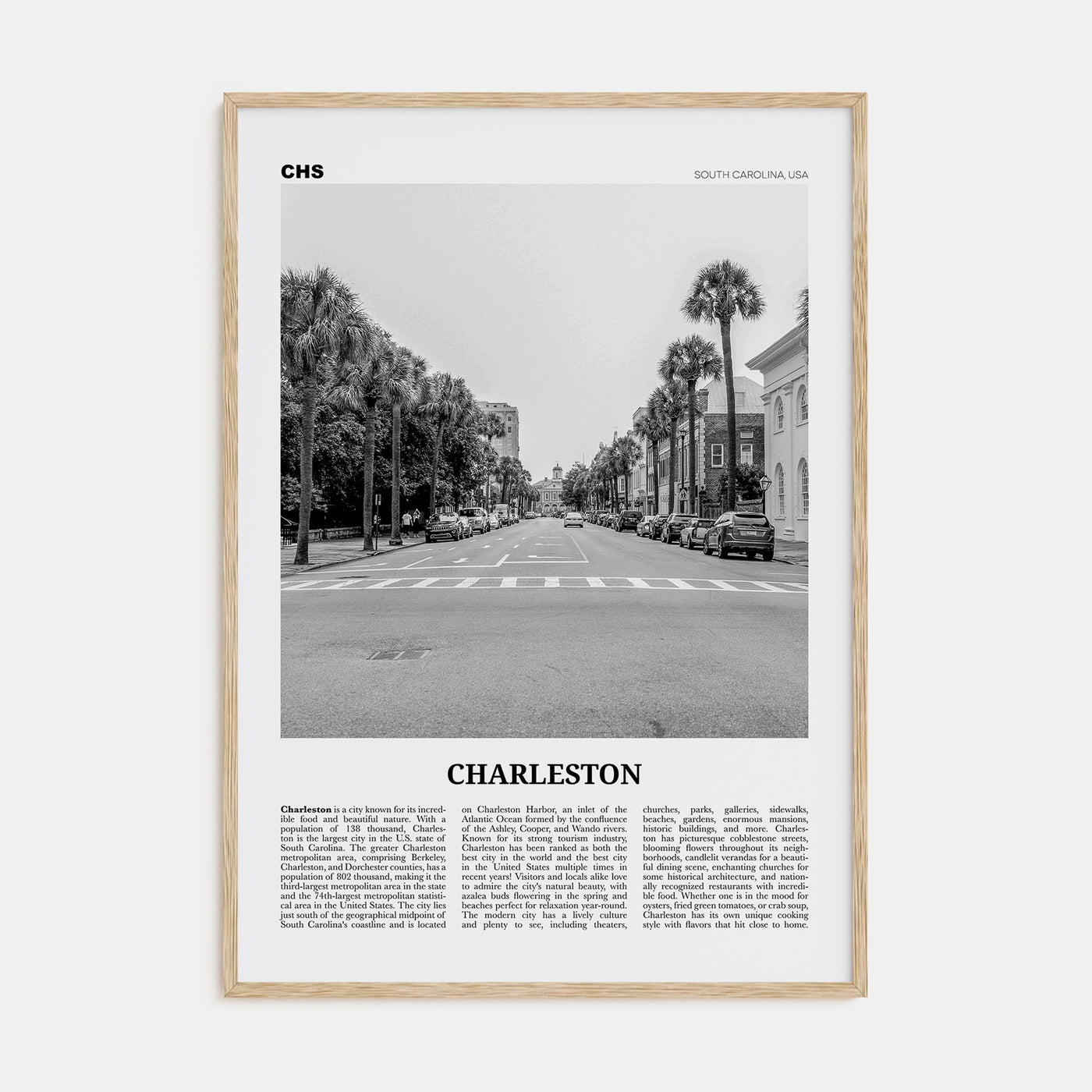 Charleston, South Carolina Travel B&W No 2 Poster