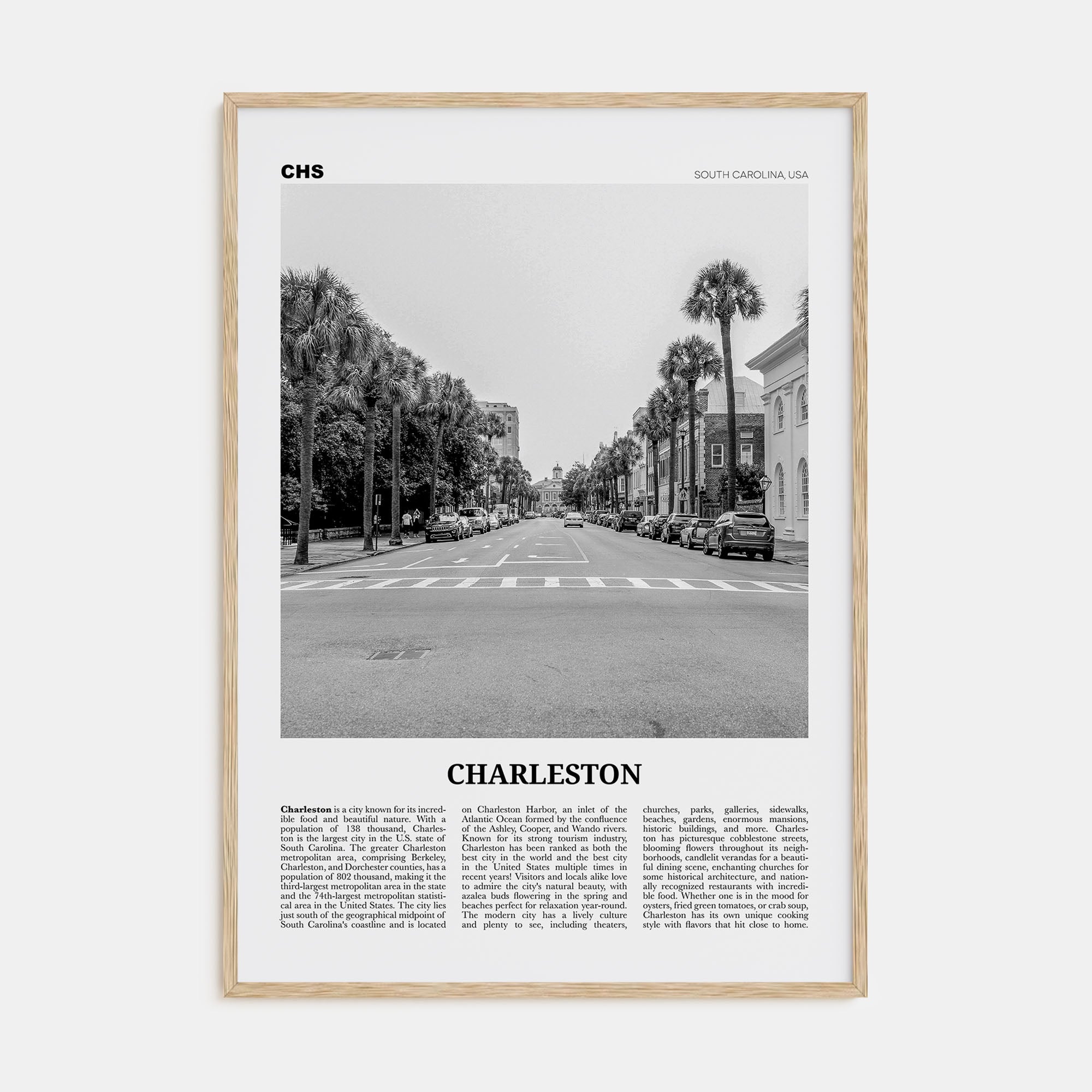 Charleston, South Carolina Travel B&W No 2 Poster