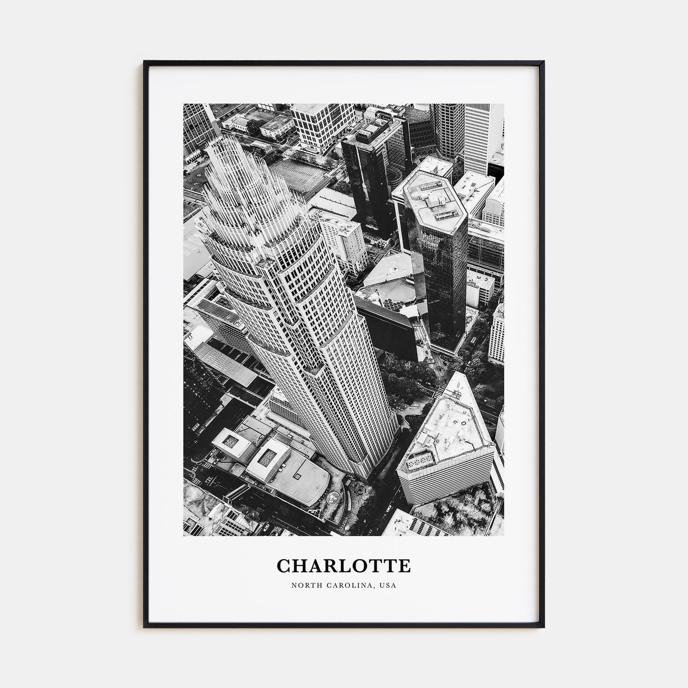 Charlotte Portrait B&W No 1 Poster