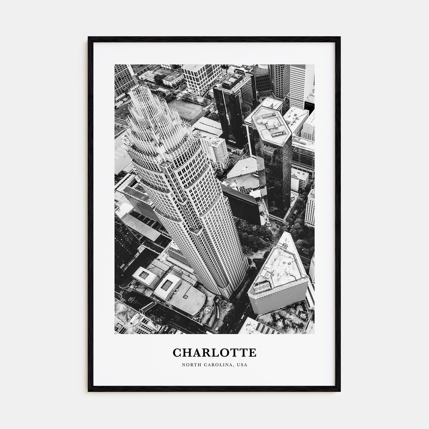 Charlotte Portrait B&W No 1 Poster