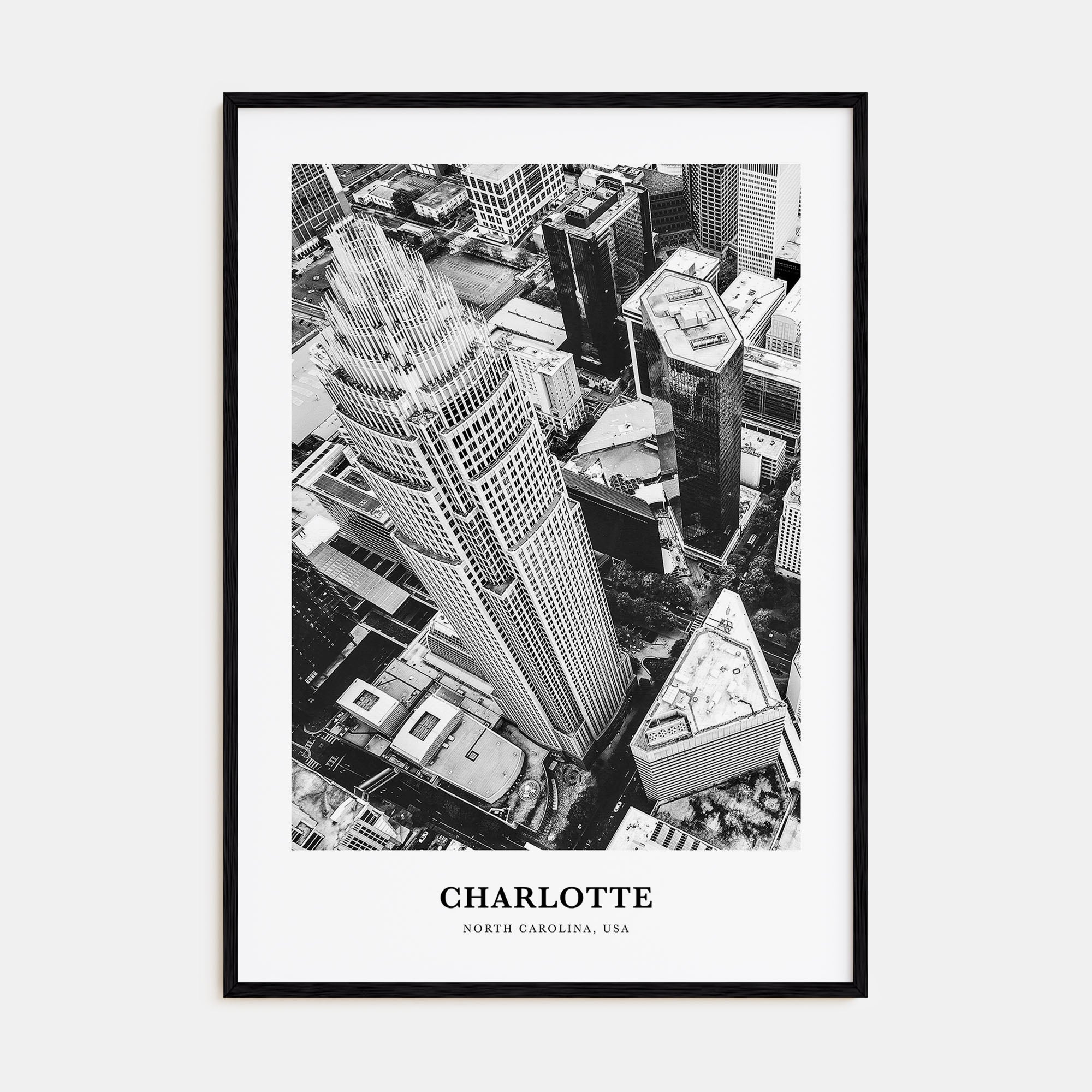 Charlotte Portrait B&W No 1 Poster