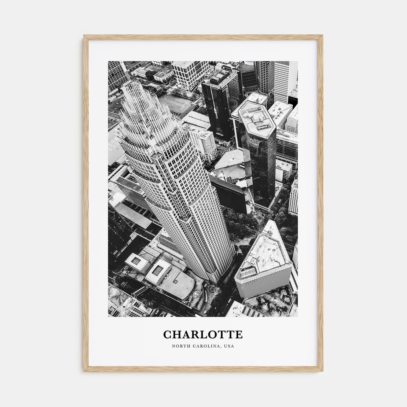 Charlotte Portrait B&W No 1 Poster