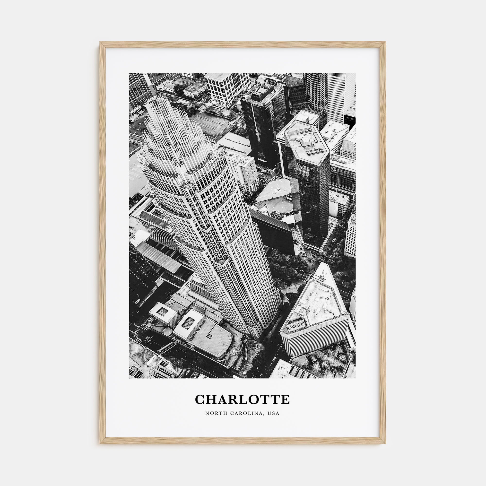 Charlotte Portrait B&W No 1 Poster