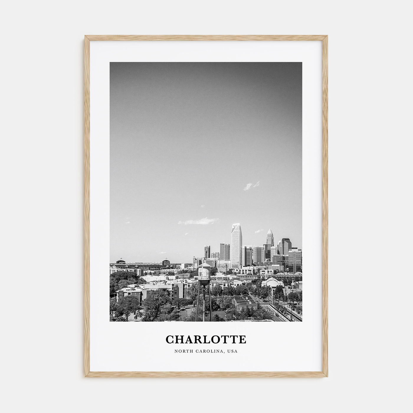 Charlotte Portrait B&W No 2 Poster