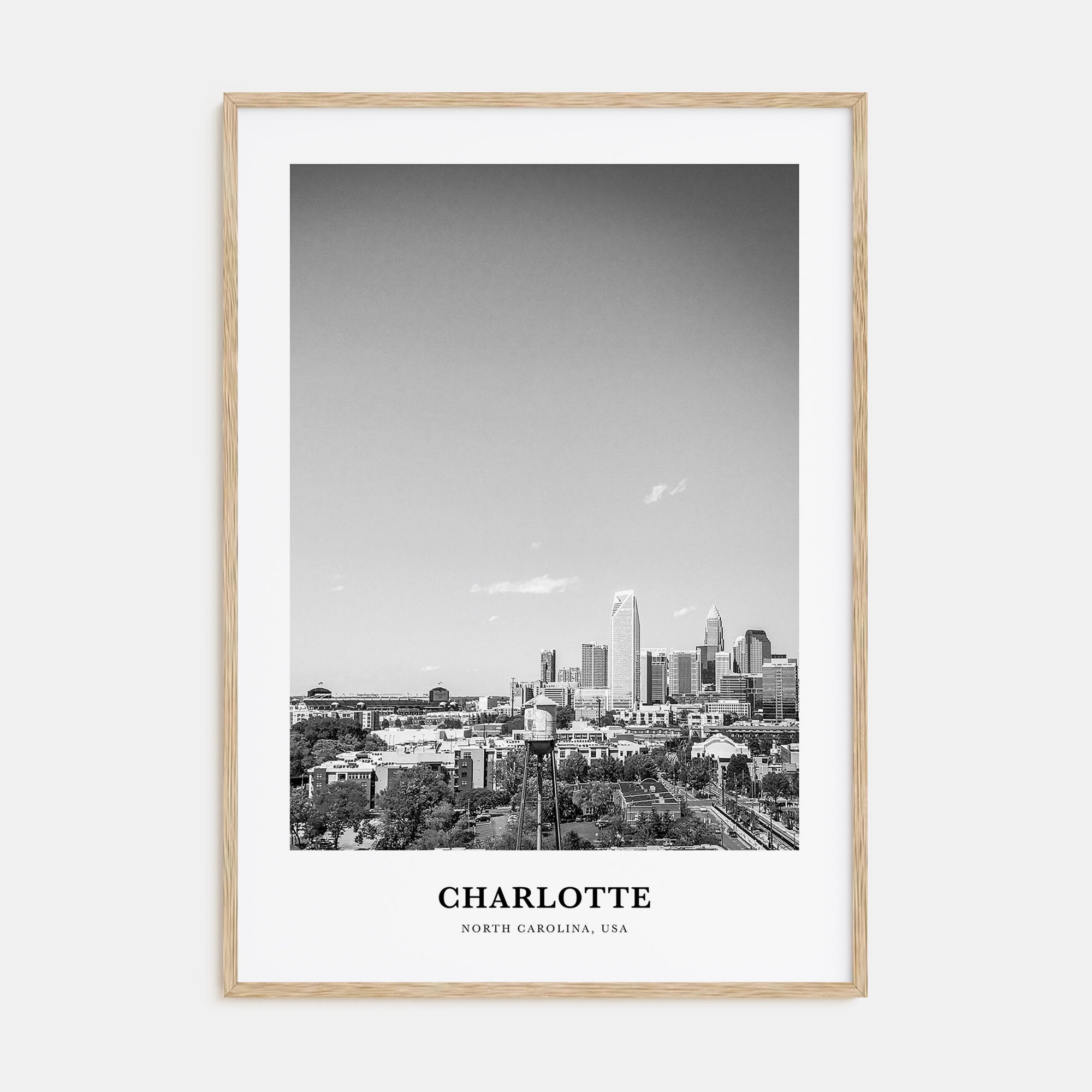 Charlotte Portrait B&W No 2 Poster