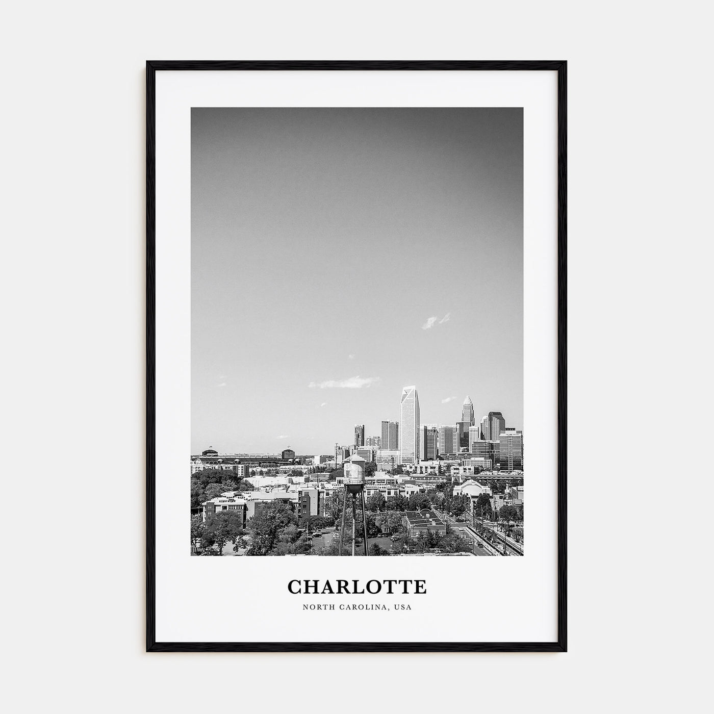 Charlotte Portrait B&W No 2 Poster
