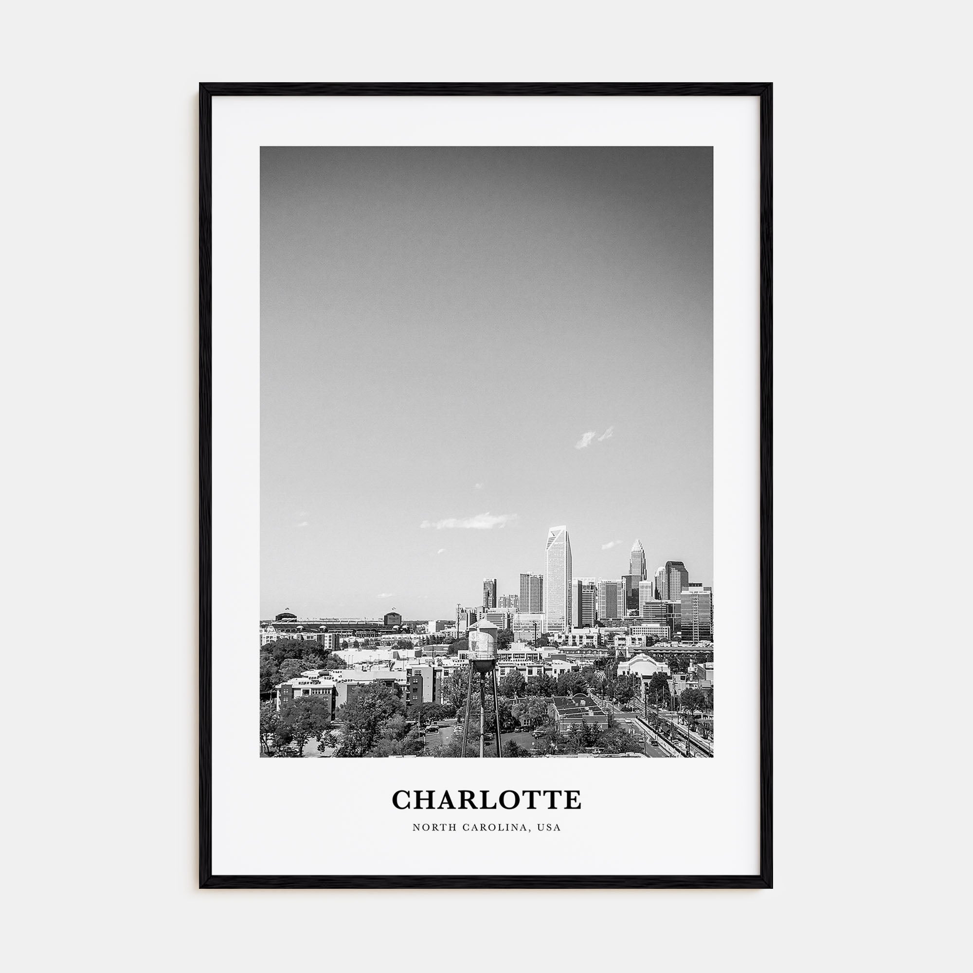Charlotte Portrait B&W No 2 Poster
