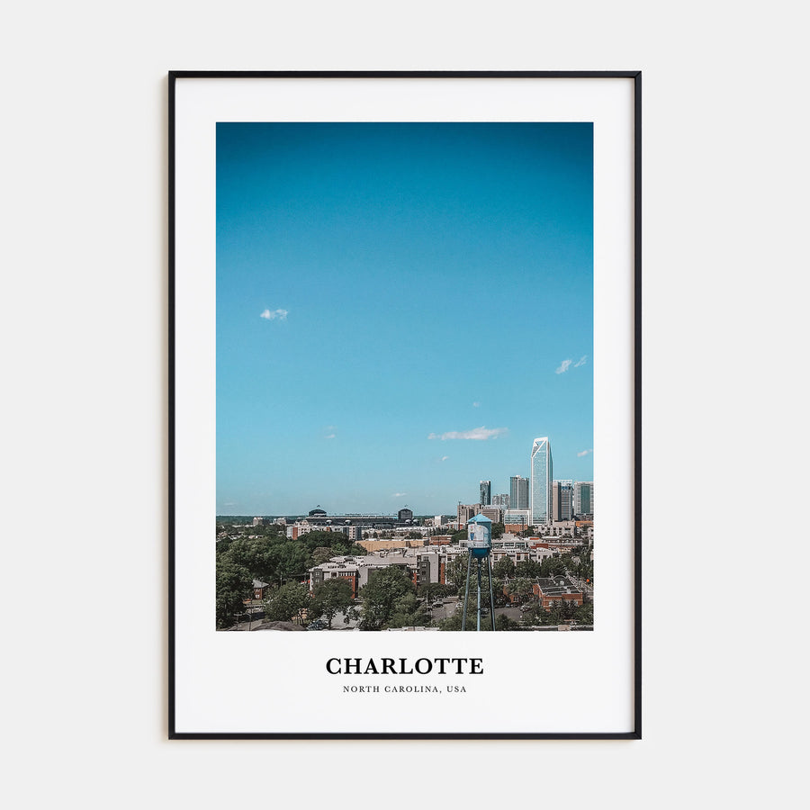 Charlotte Portrait Color No 2 Poster