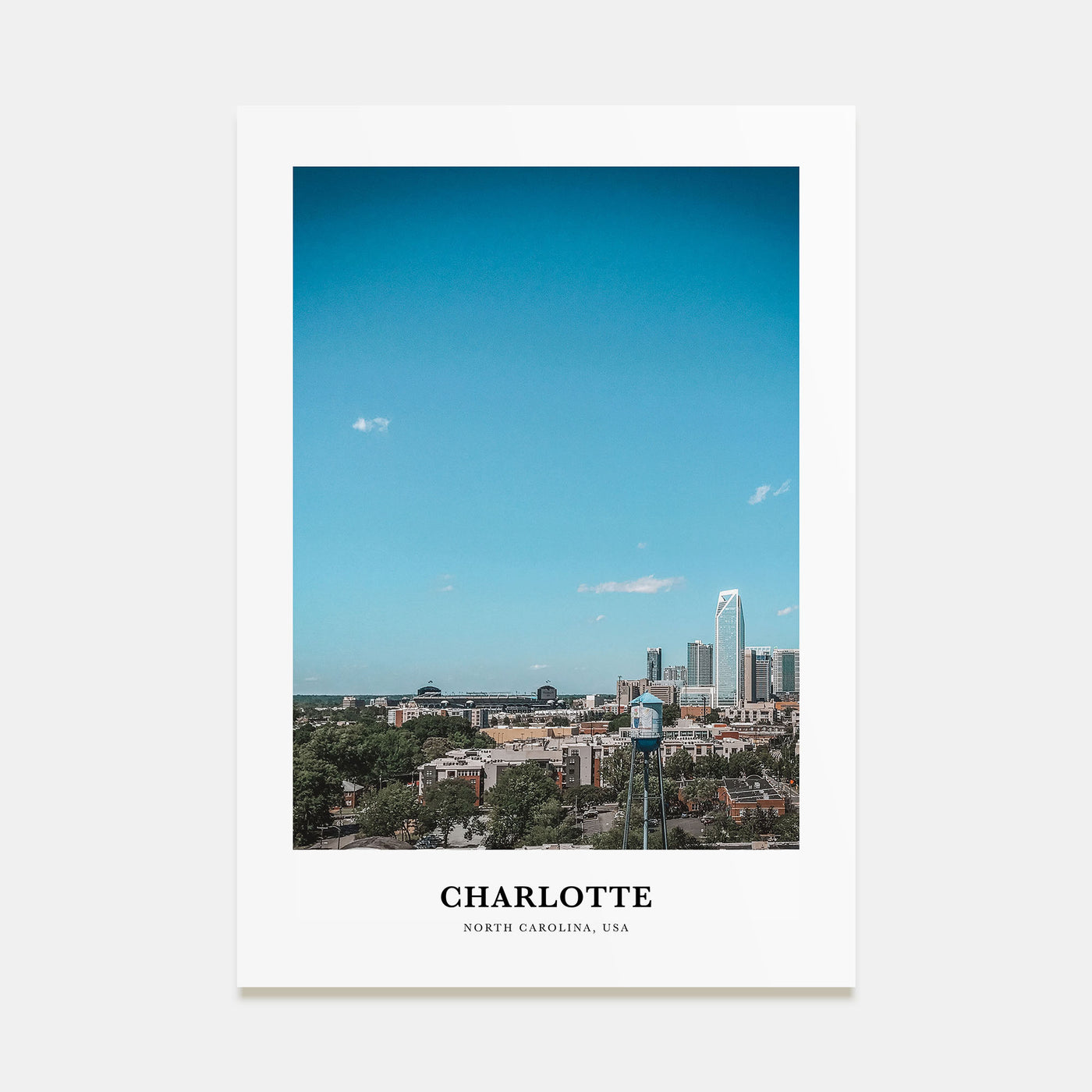 Charlotte Portrait Color No 2 Poster