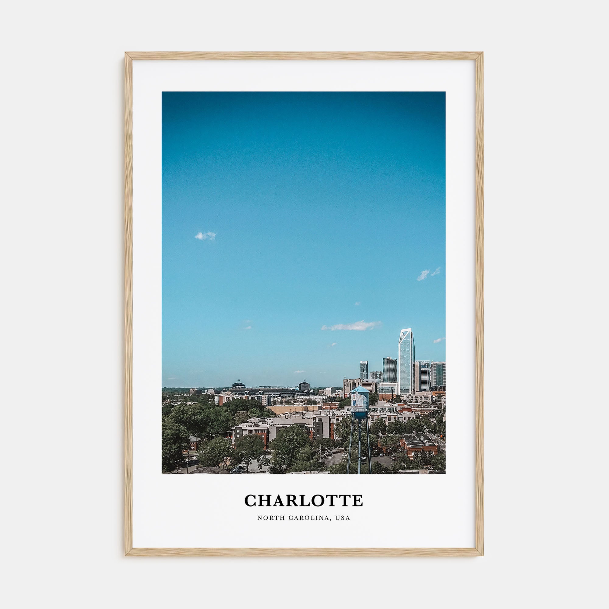 Charlotte Portrait Color No 2 Poster