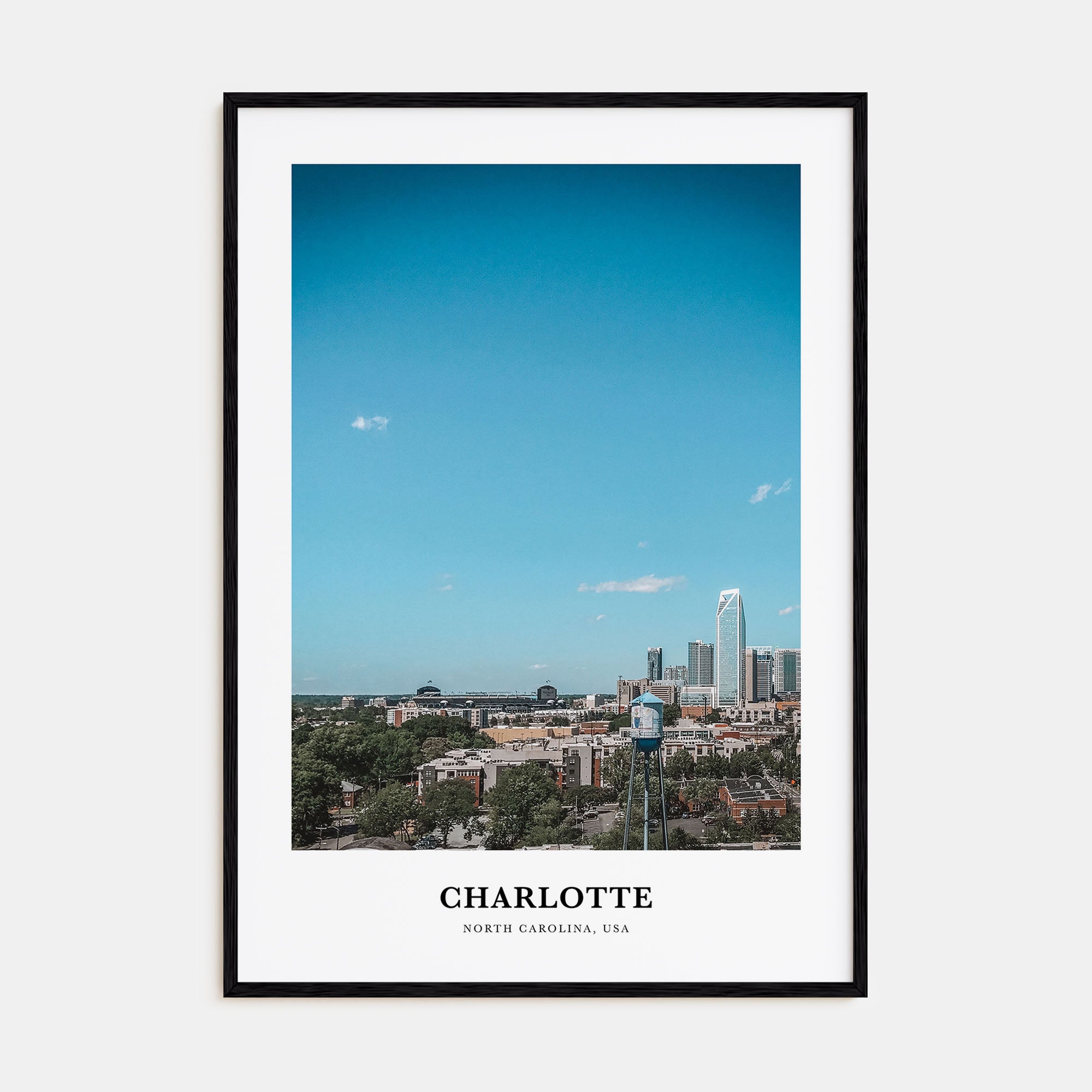 Charlotte Portrait Color No 2 Poster