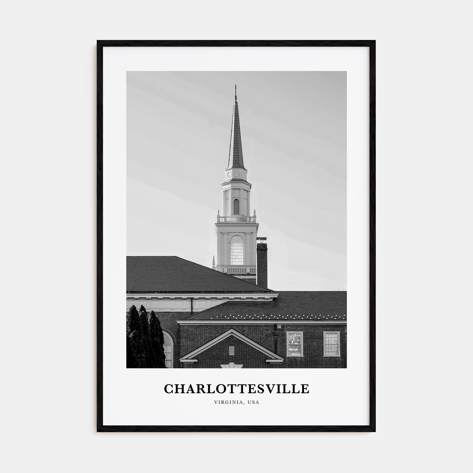 Charlottesville Portrait B&W Poster