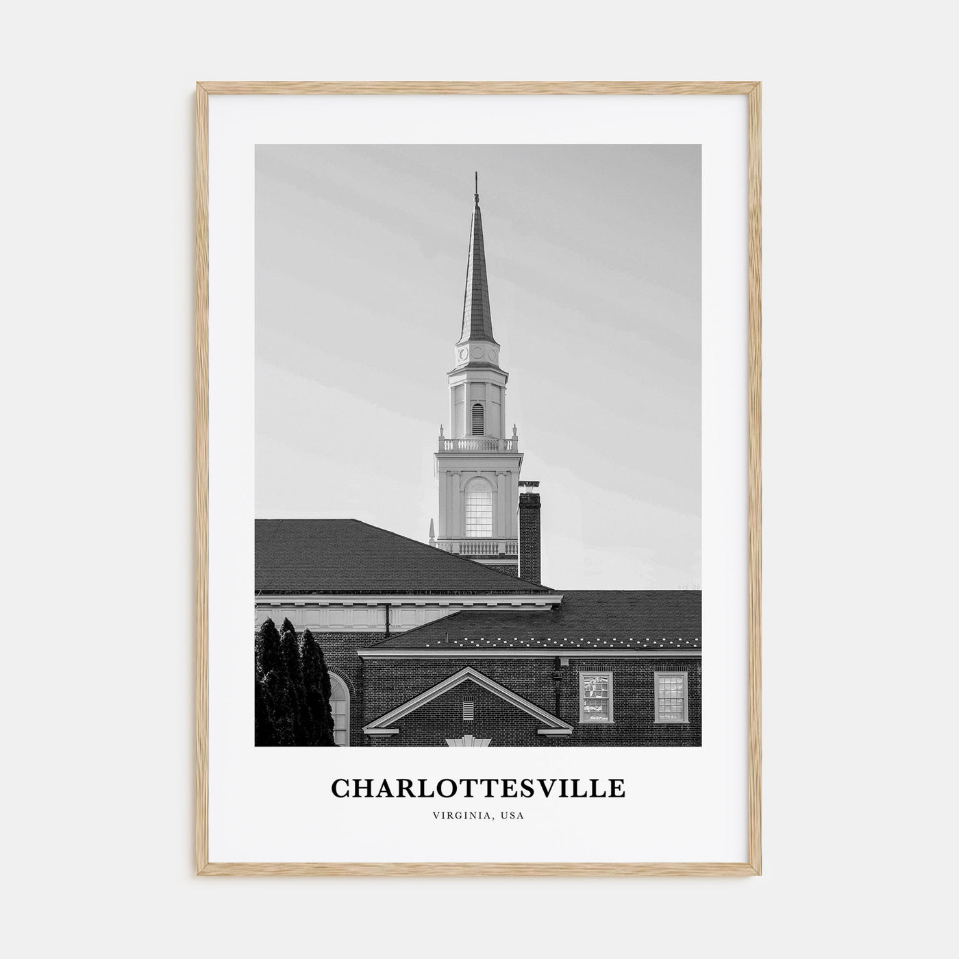 Charlottesville Portrait B&W Poster