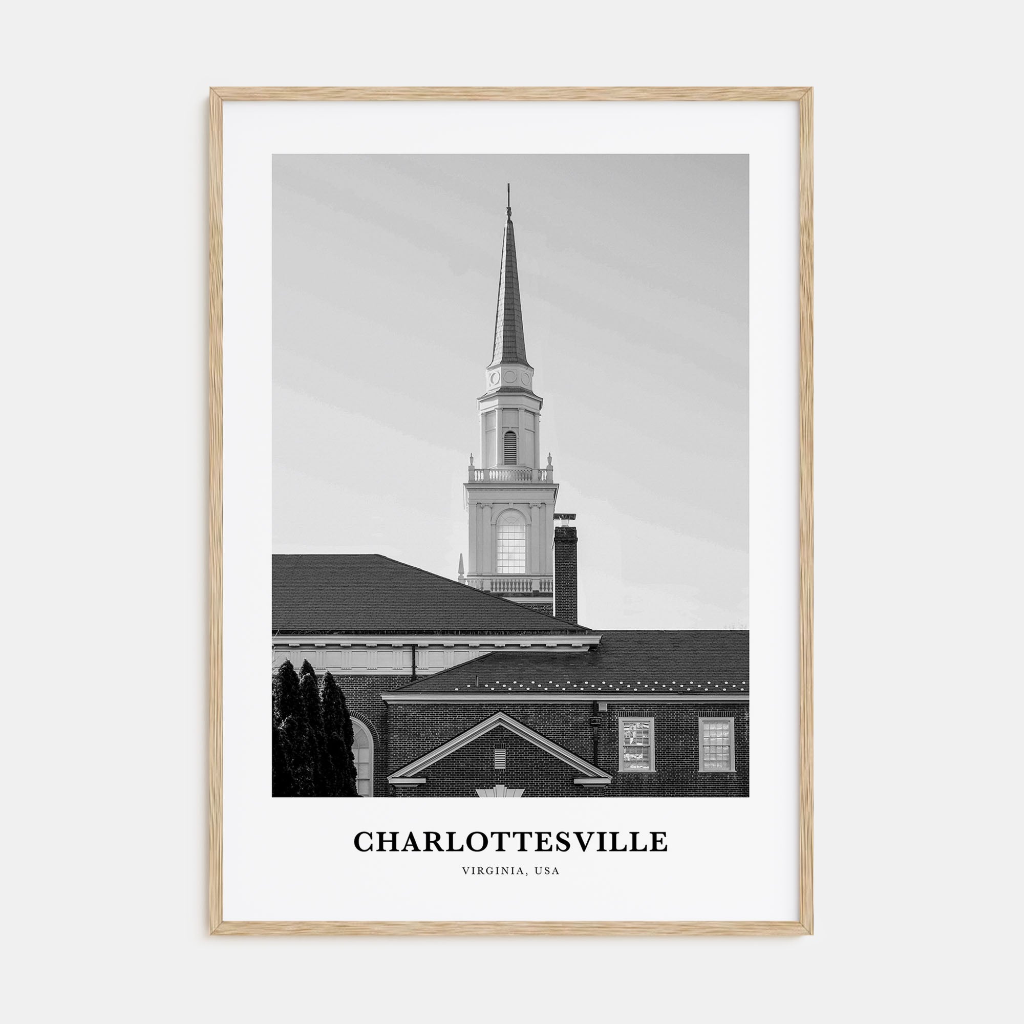 Charlottesville Portrait B&W Poster