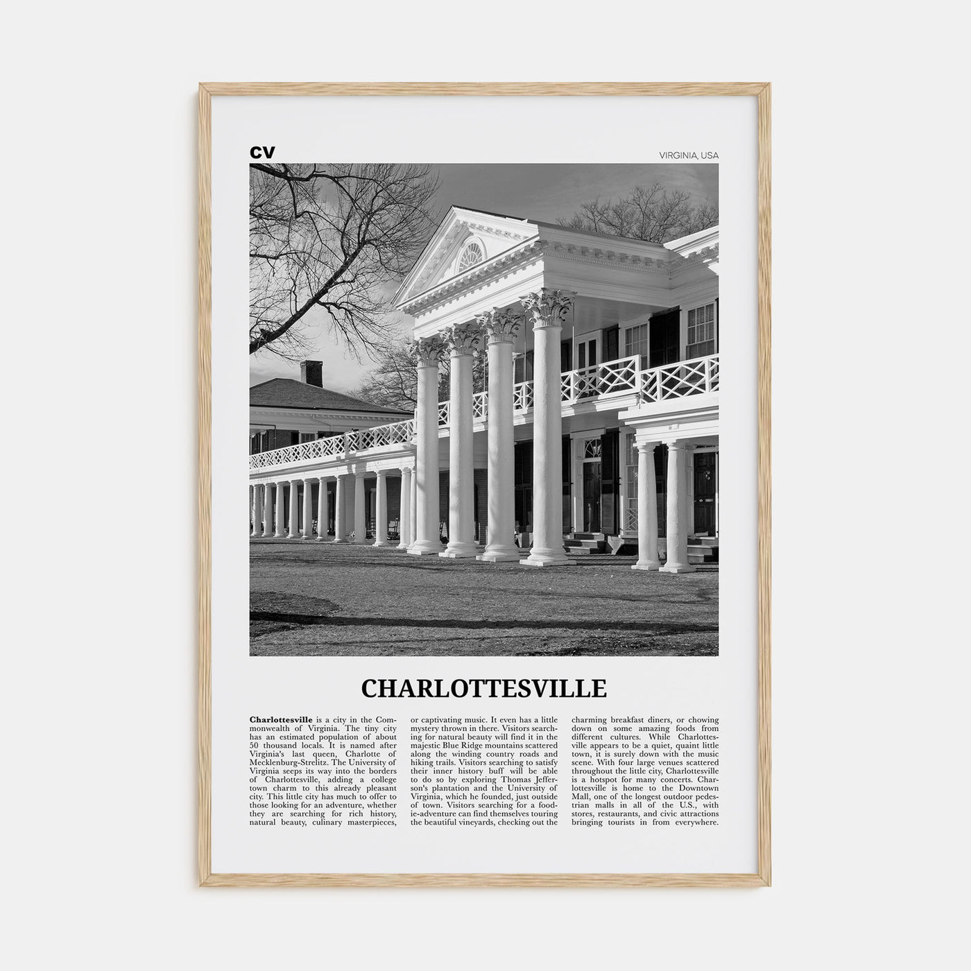 Charlottesville Travel B&W No 2 Poster