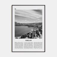 Chelan Travel B&W Poster