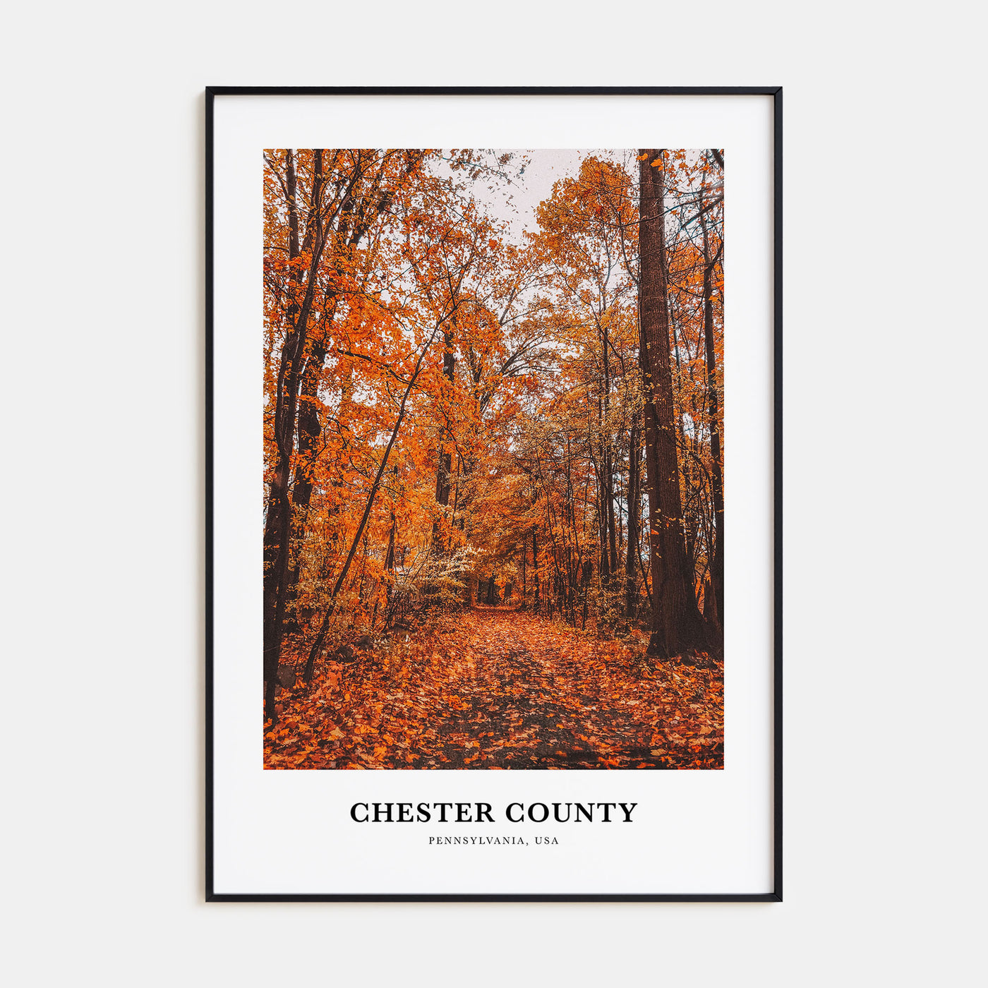 Chester County Portrait Color Poster