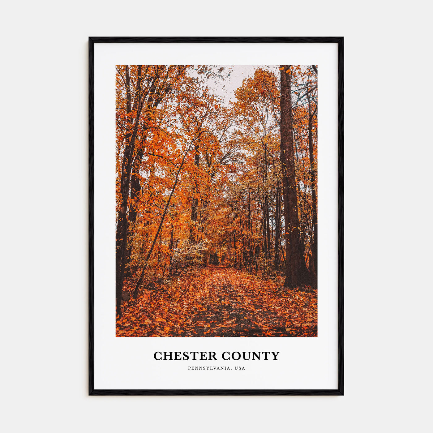 Chester County Portrait Color Poster