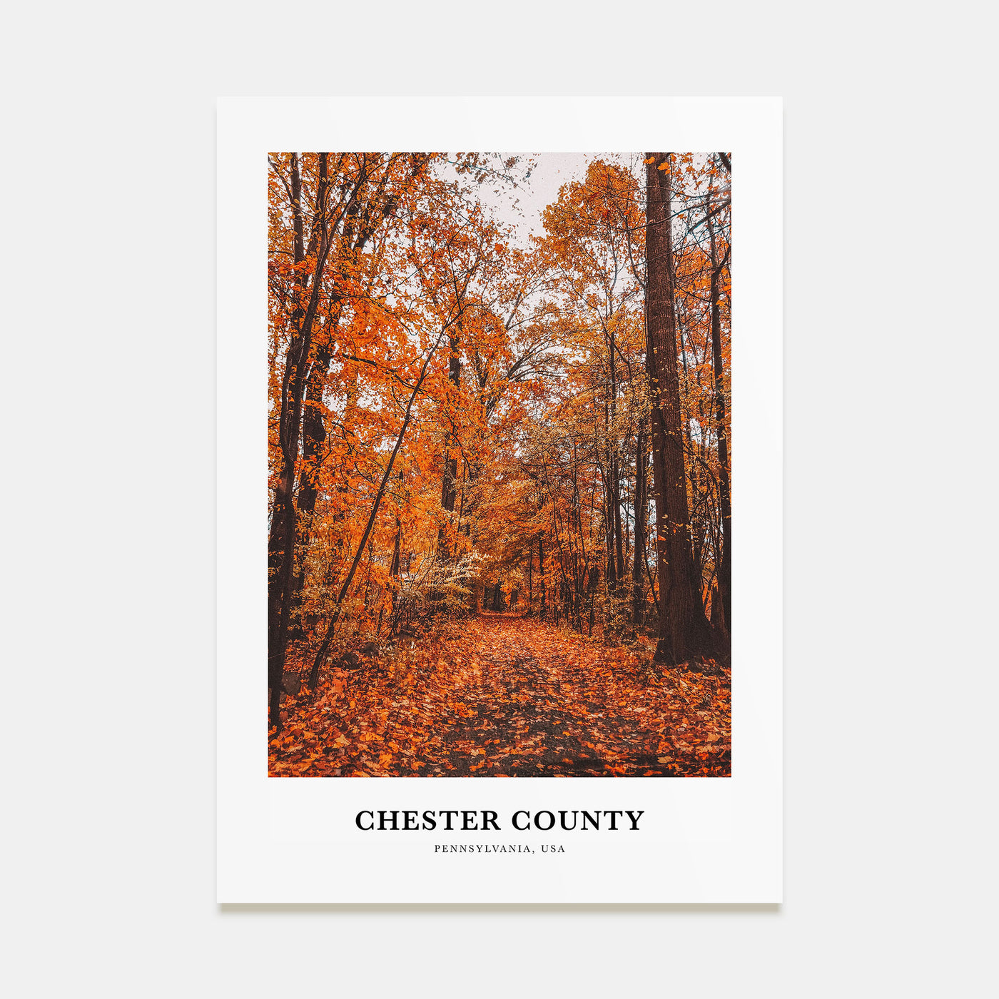 Chester County Portrait Color Poster