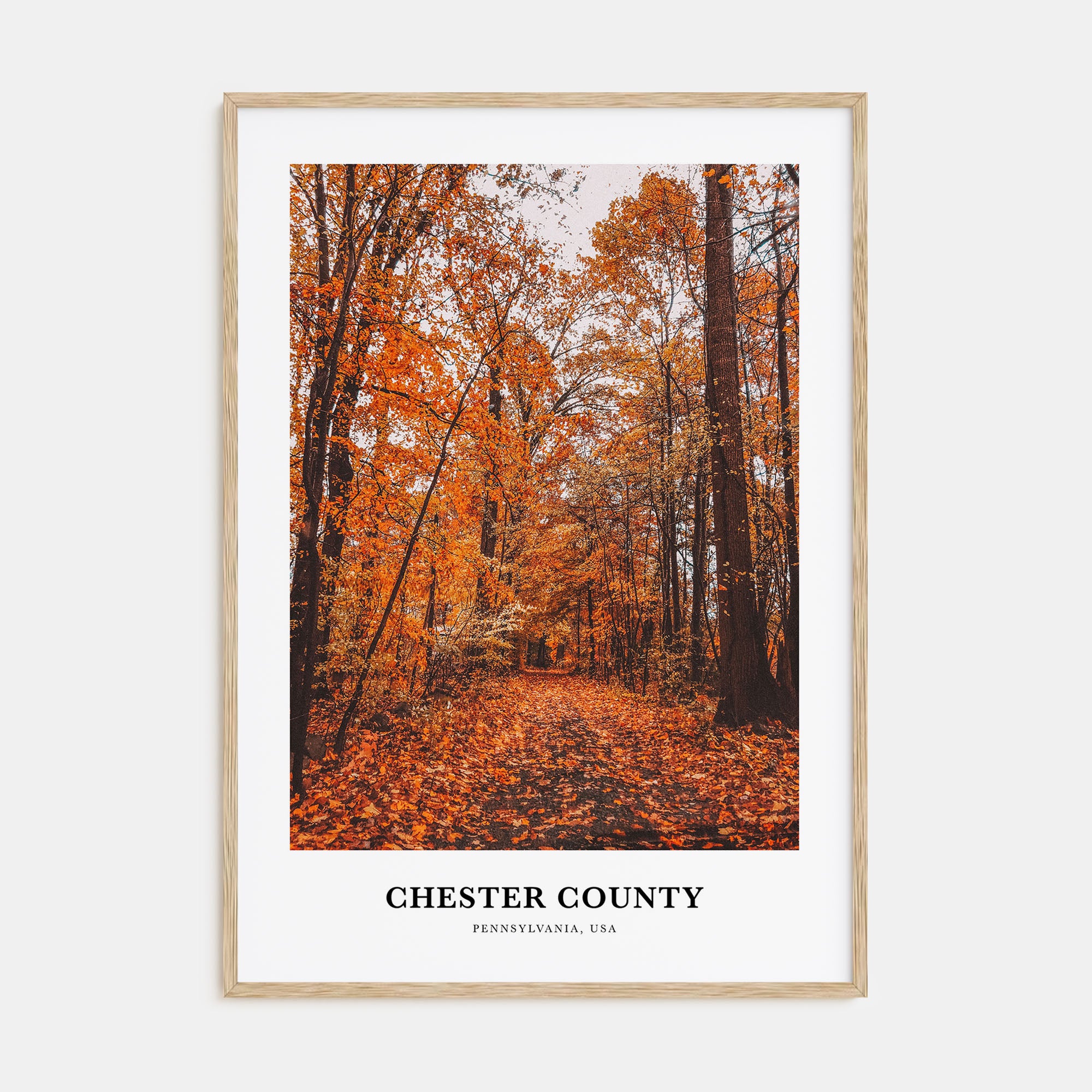 Chester County Portrait Color Poster