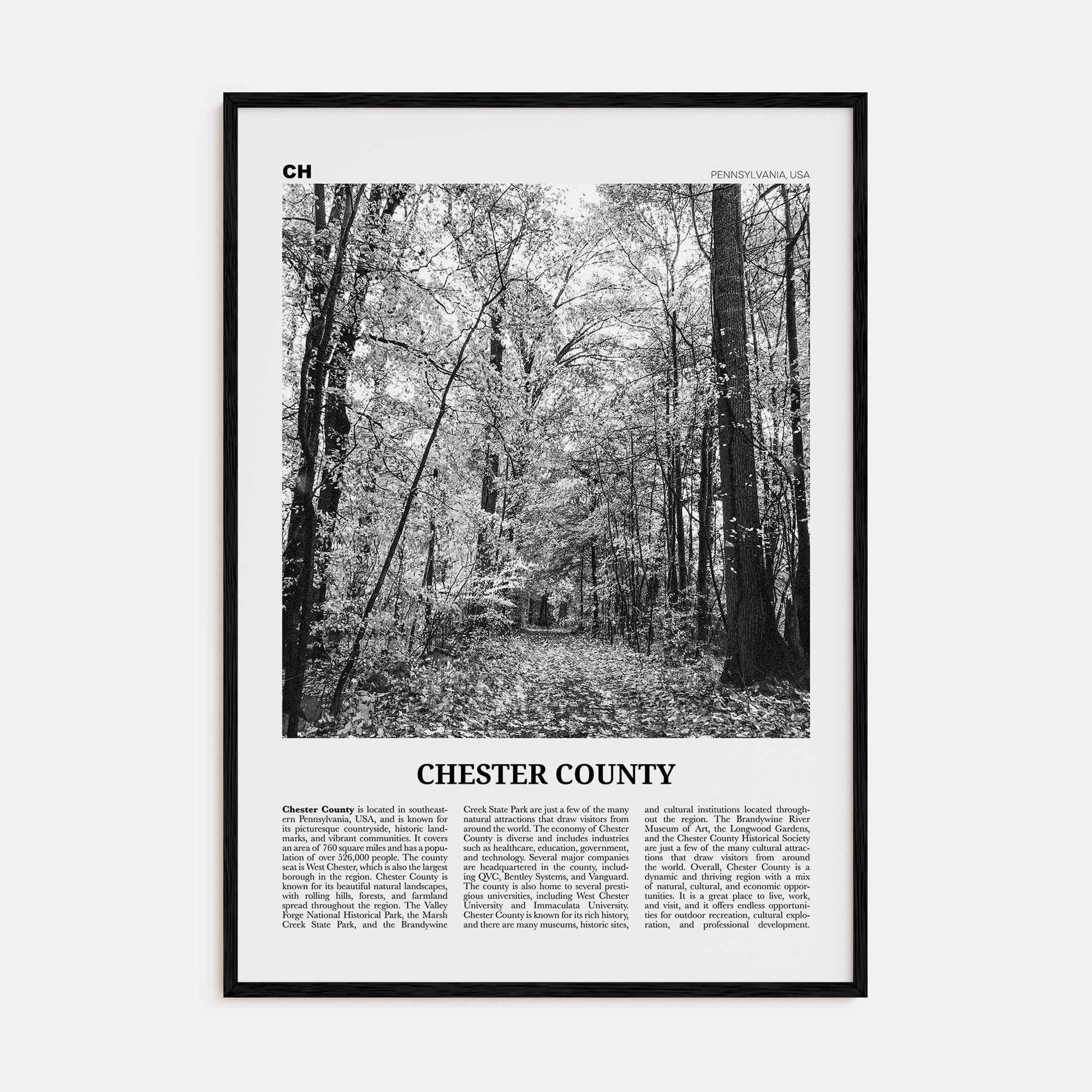 Chester County Travel B&W Poster