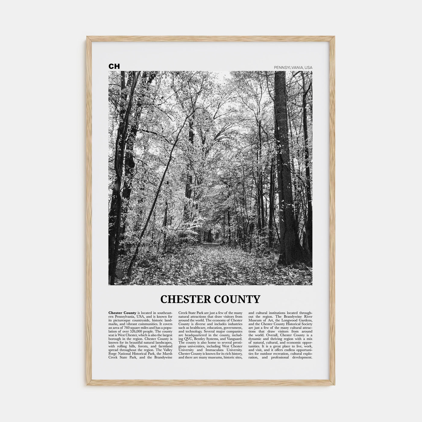 Chester County Travel B&W Poster