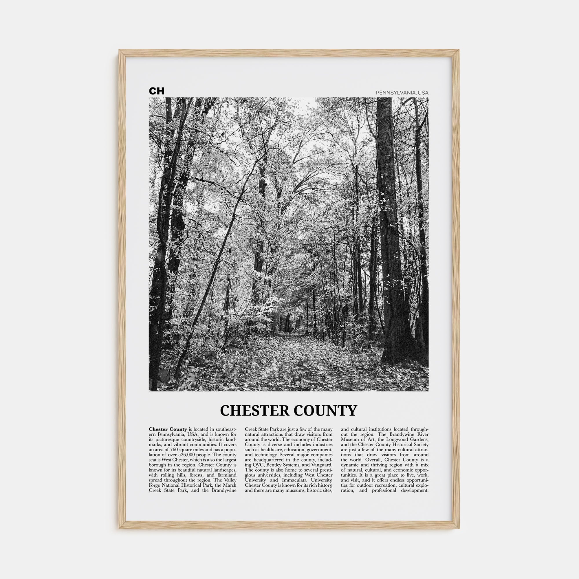 Chester County Travel B&W Poster