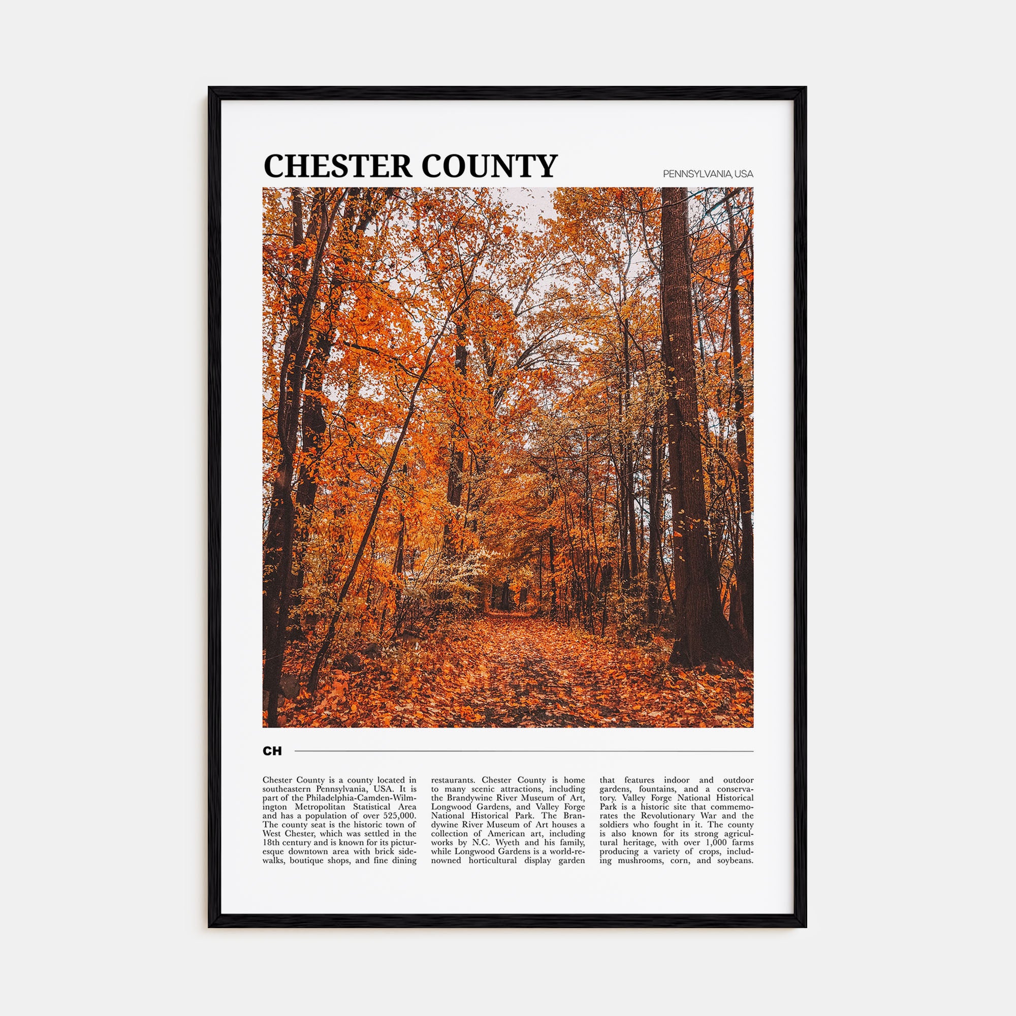 Chester County Travel Color Poster