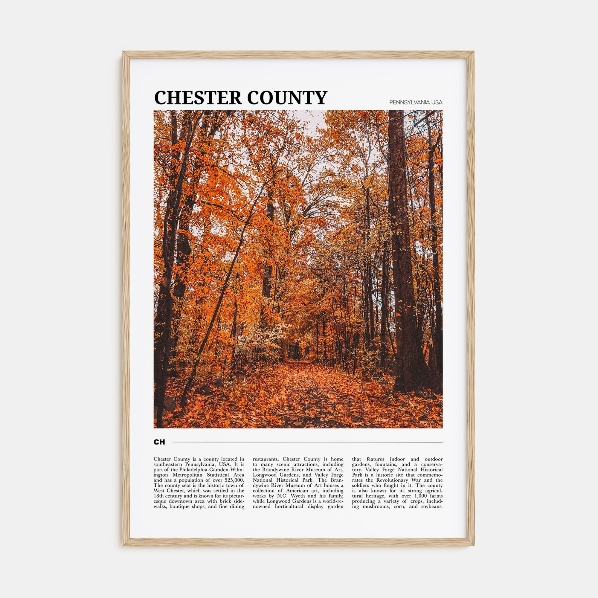 Chester County Travel Color Poster