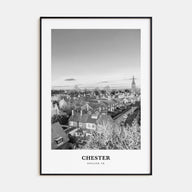Chester Portrait B&W No 1 Poster