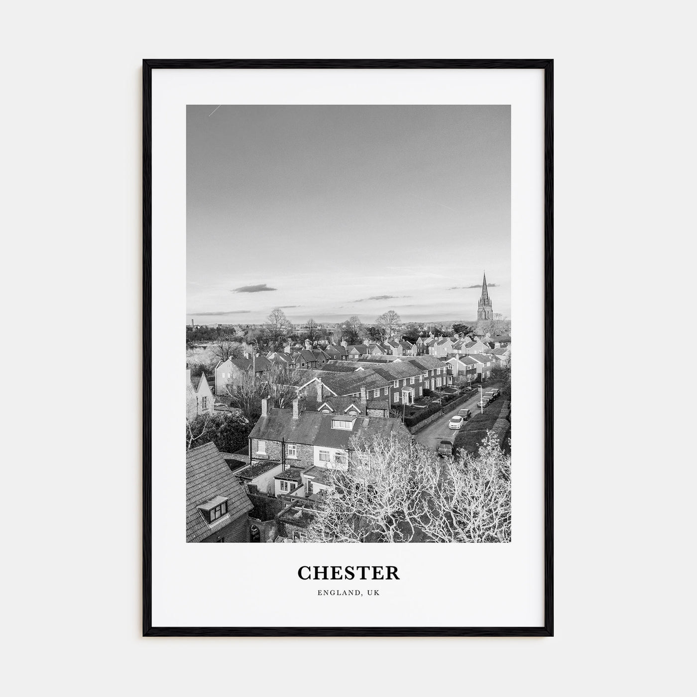 Chester Portrait B&W No 1 Poster