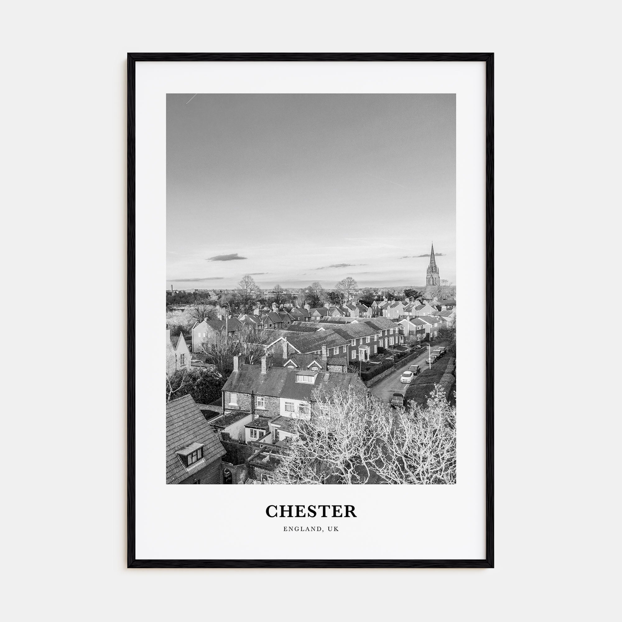 Chester Portrait B&W No 1 Poster