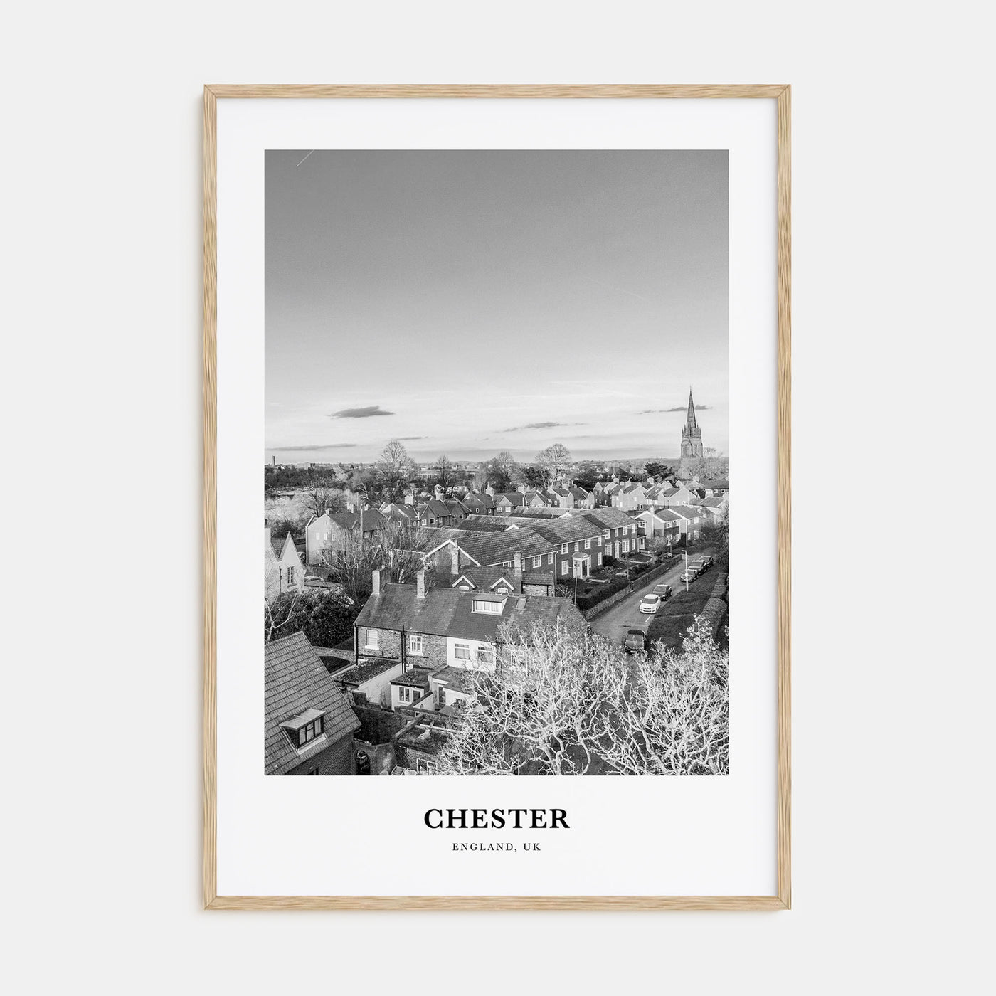 Chester Portrait B&W No 1 Poster