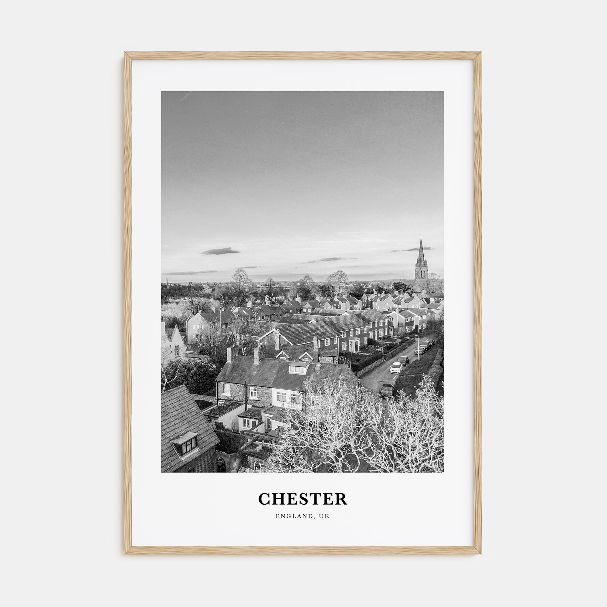 Chester Portrait B&W No 1 Poster