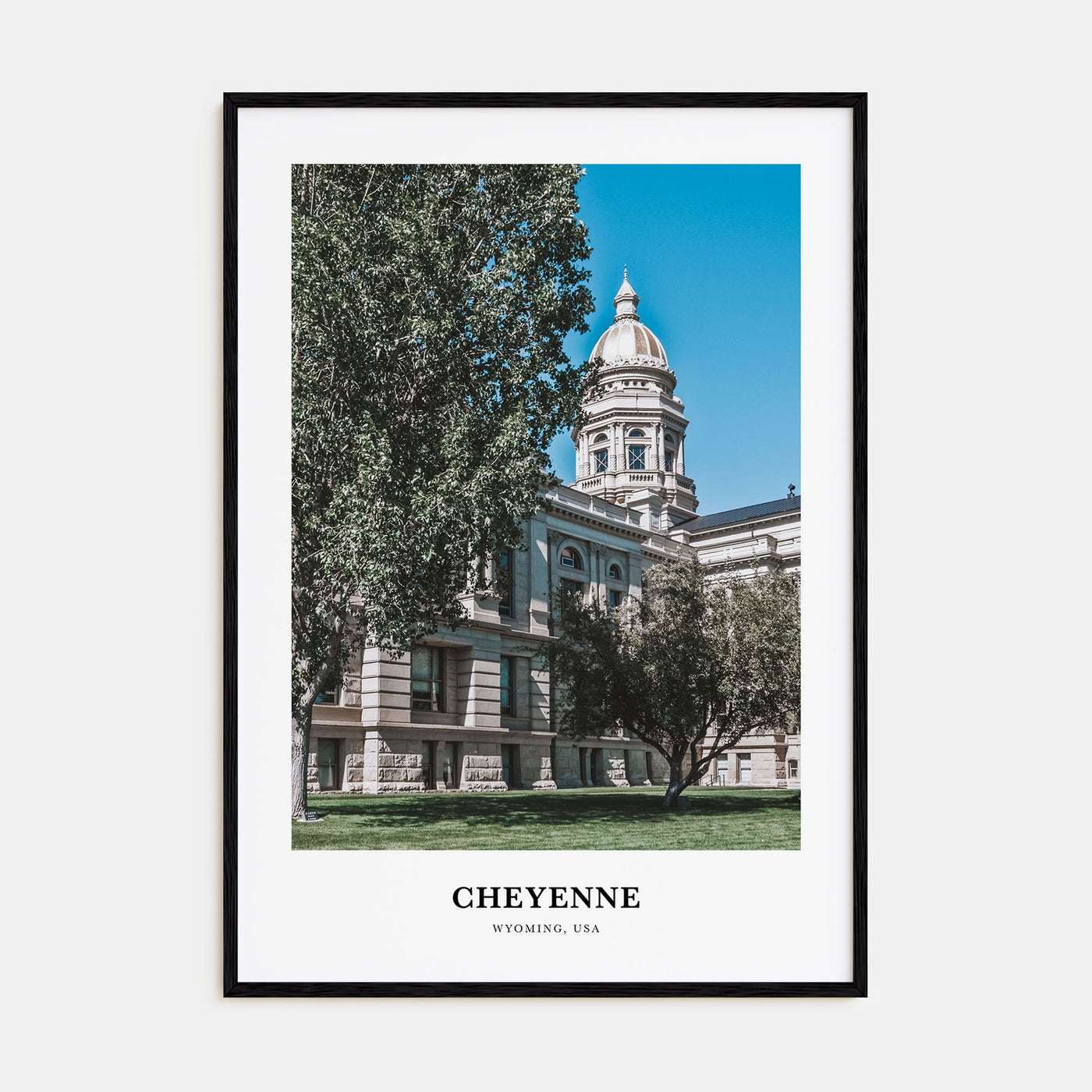 Cheyenne Portrait Color Poster
