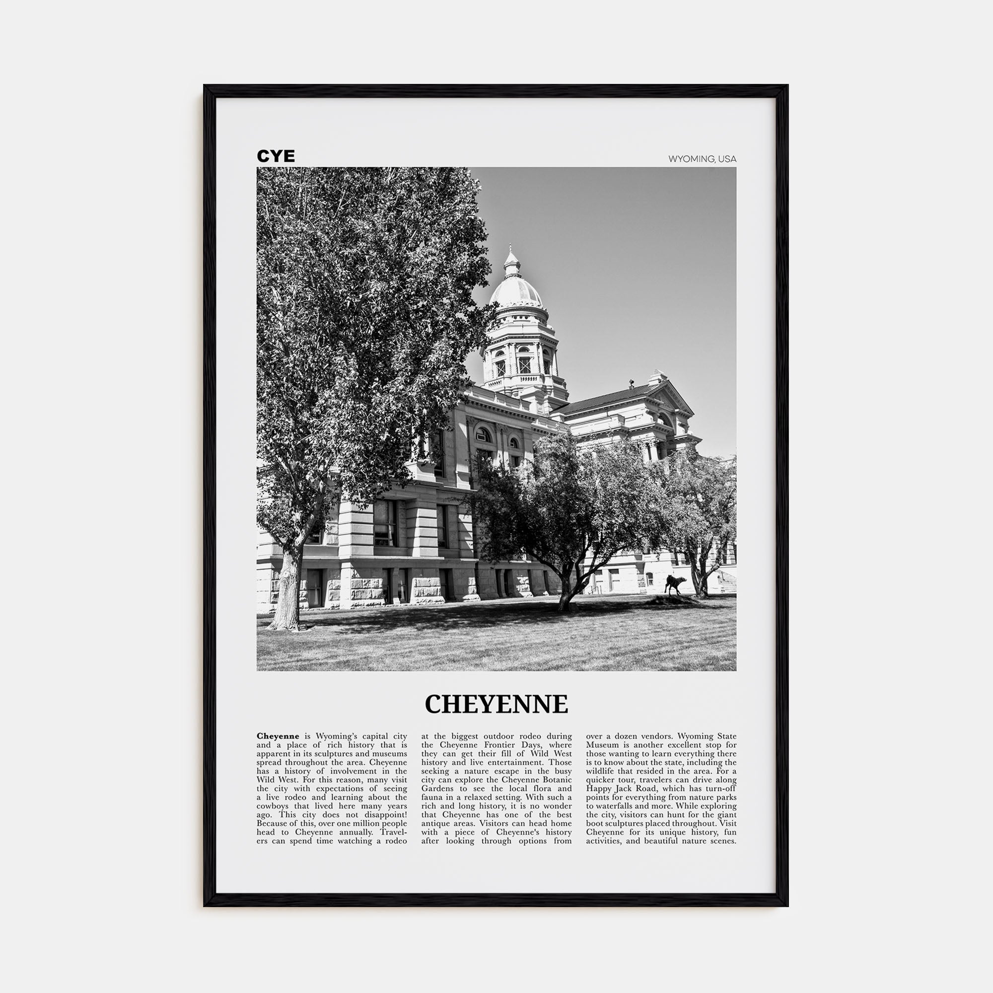 Cheyenne Travel B&W Poster