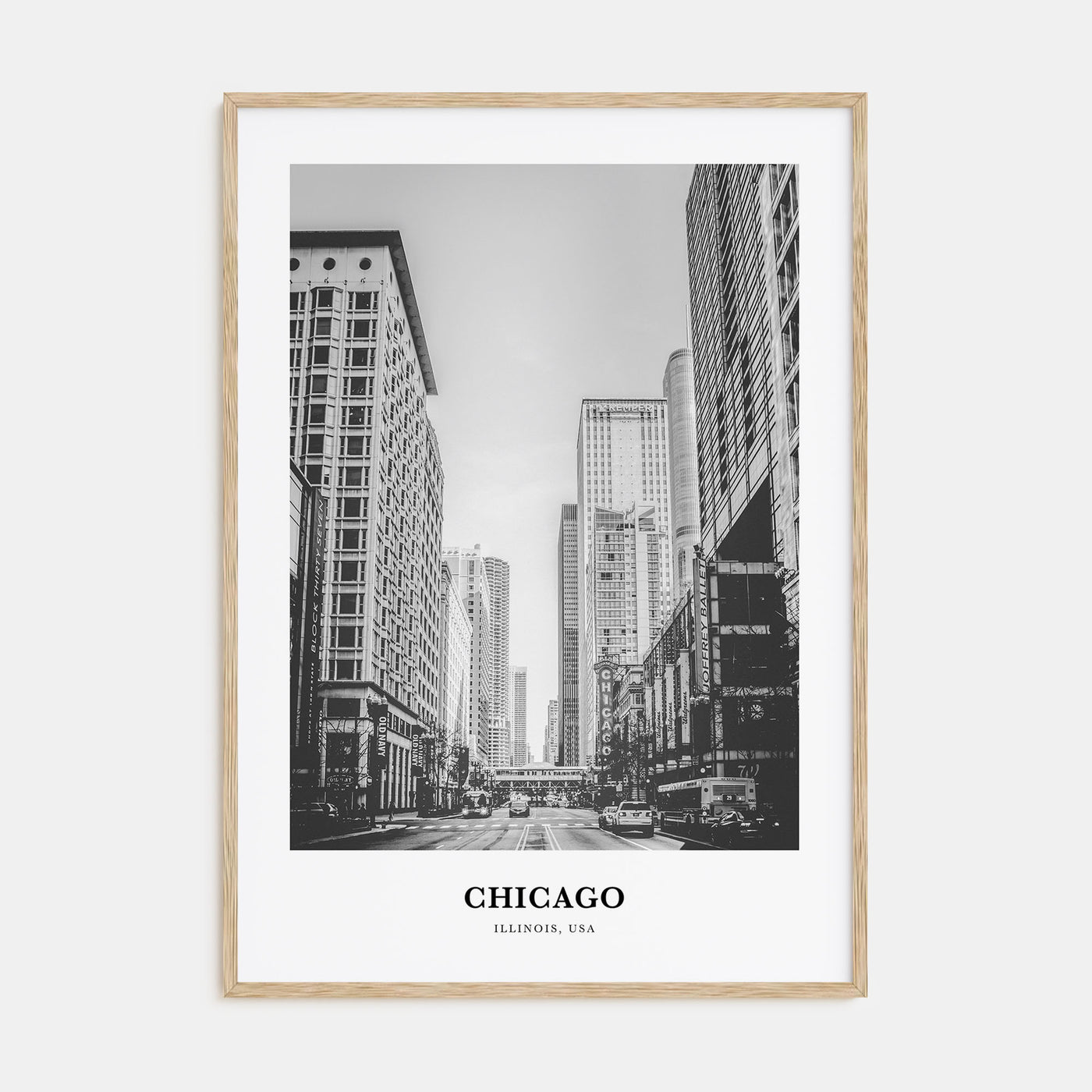 Chicago Portrait B&W No 1 Poster