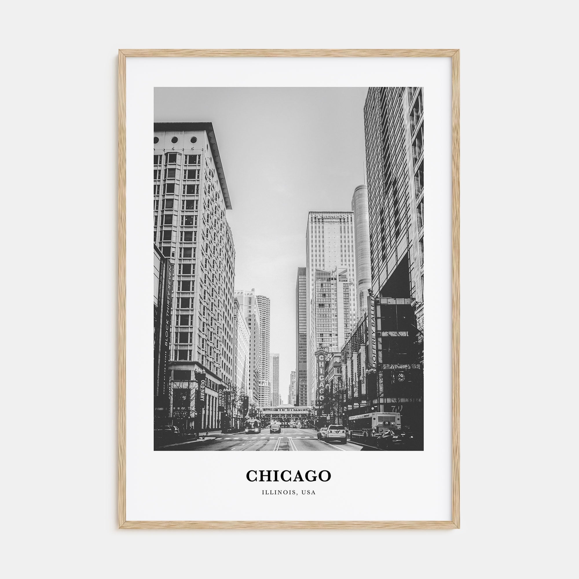 Chicago Portrait B&W No 1 Poster