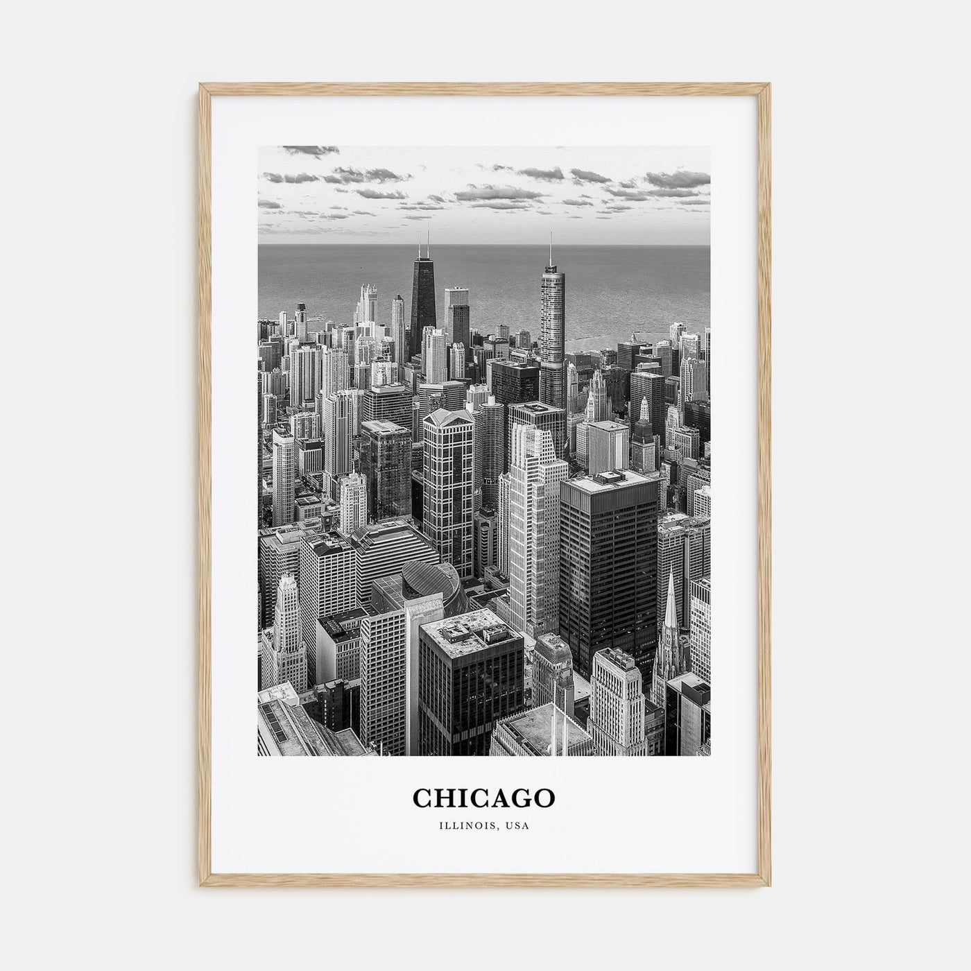 Chicago Portrait B&W No 3 Poster