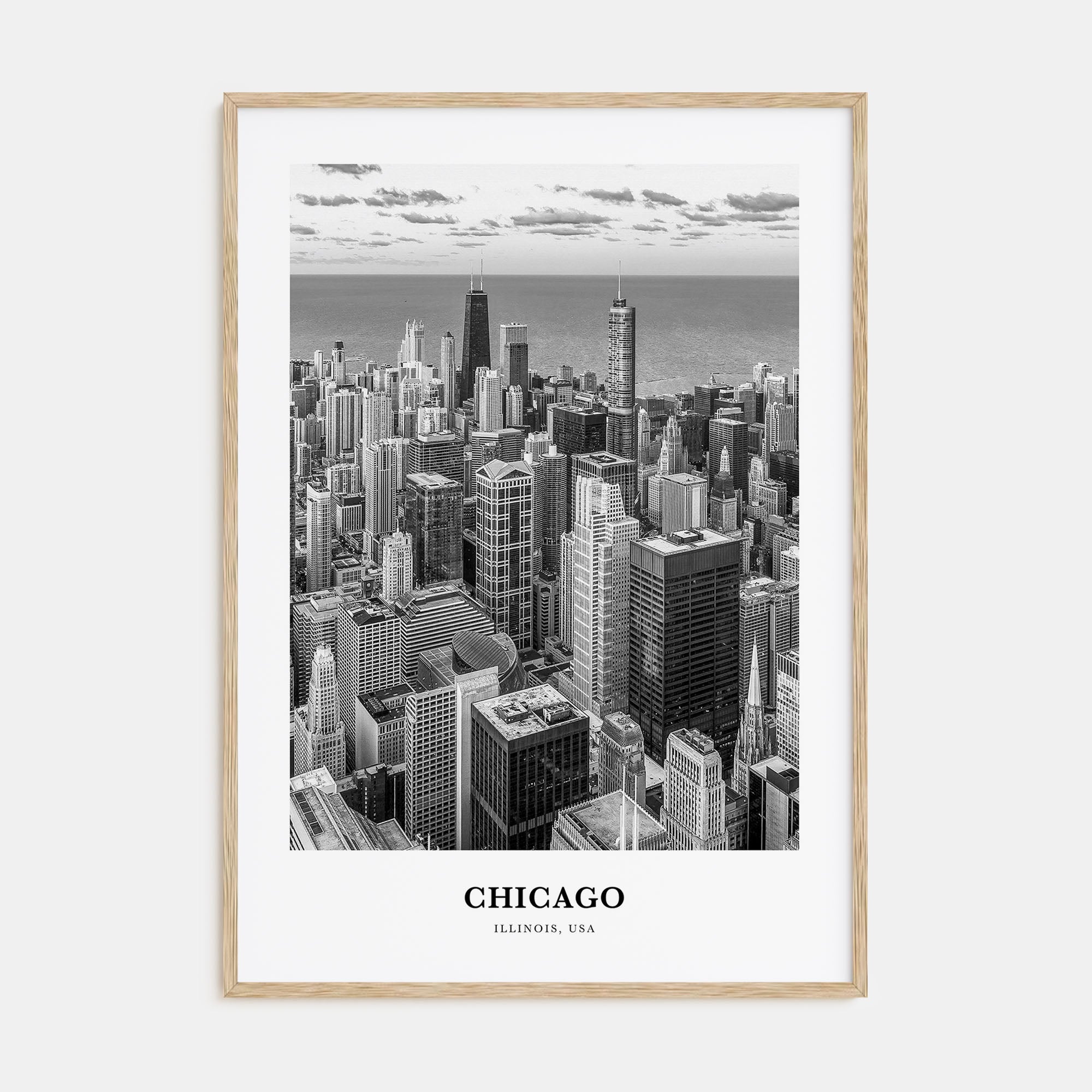 Chicago Portrait B&W No 3 Poster