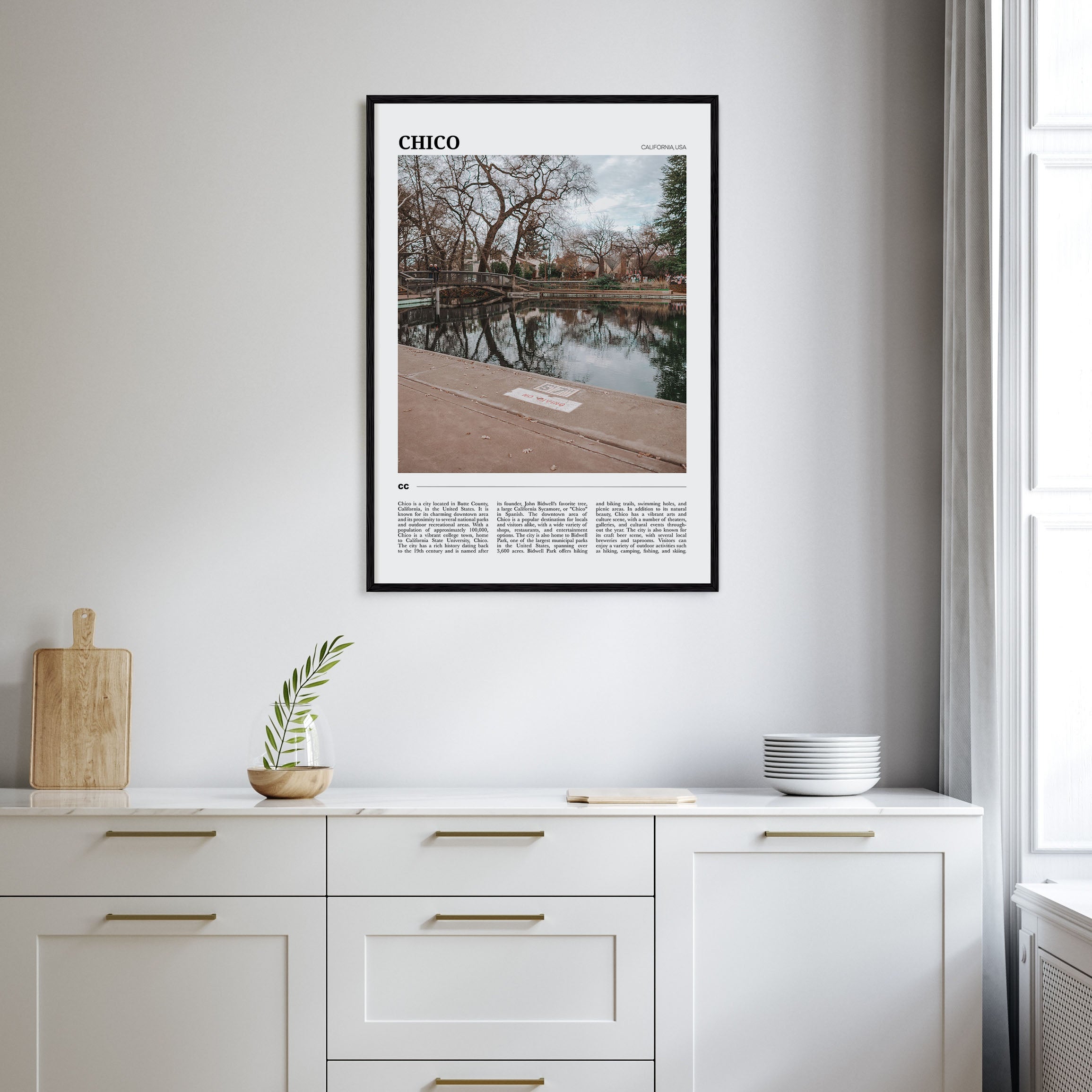 Chico Travel Color Poster
