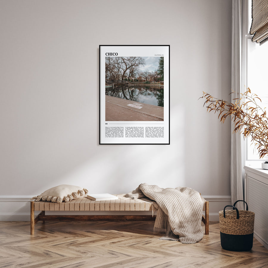 Chico Travel Color Poster