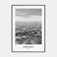Chihuahua Portrait B&W Poster