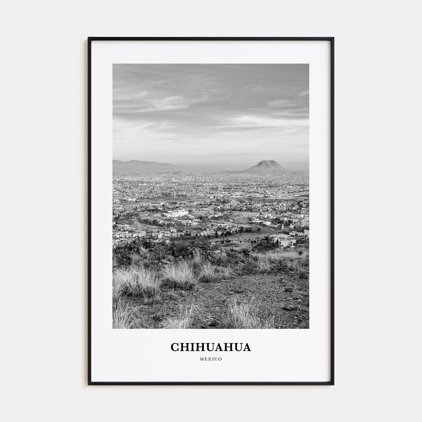 Chihuahua Portrait B&W Poster